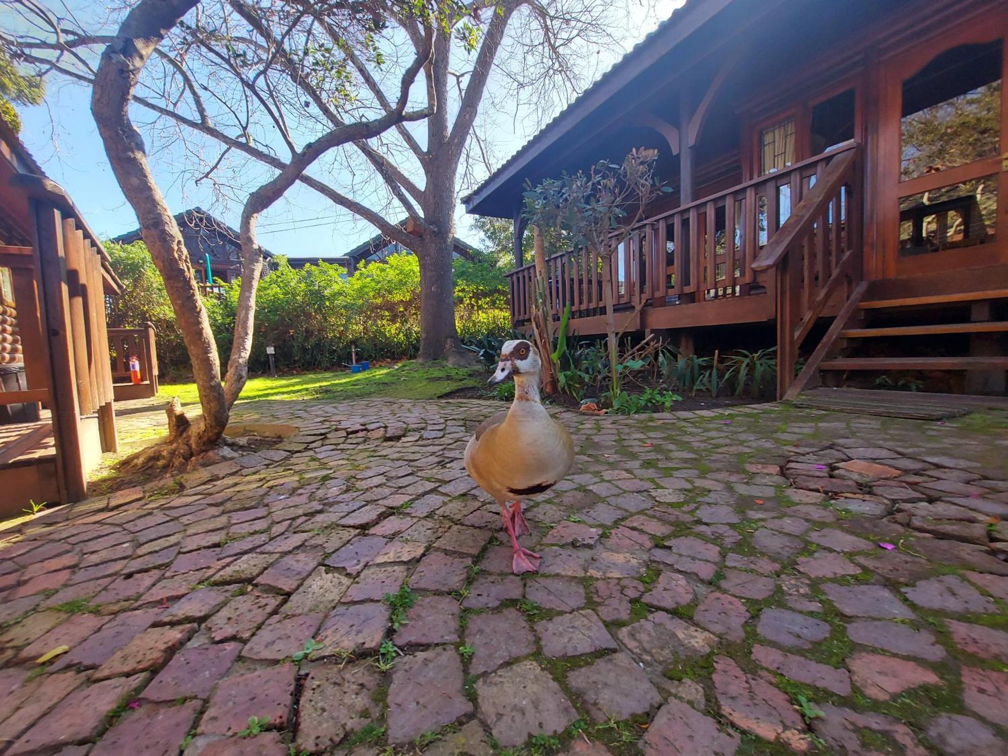 Knysna River Club By First Private Stays Dış mekan fotoğraf